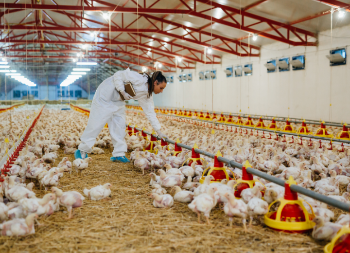 Agricultural monitoring and farm reporting