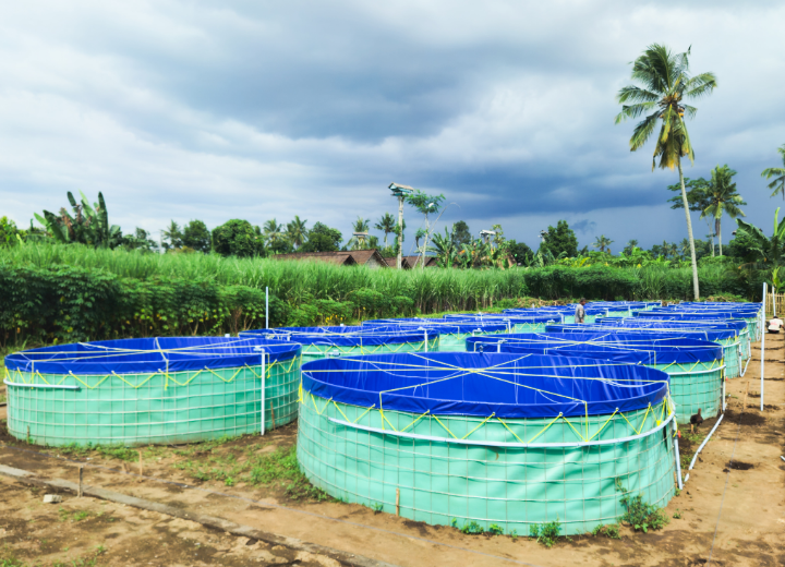Agricultural harvesting and post harvest management