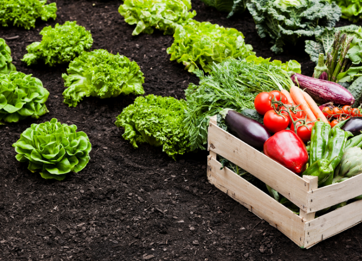 Professional agricultural farm management