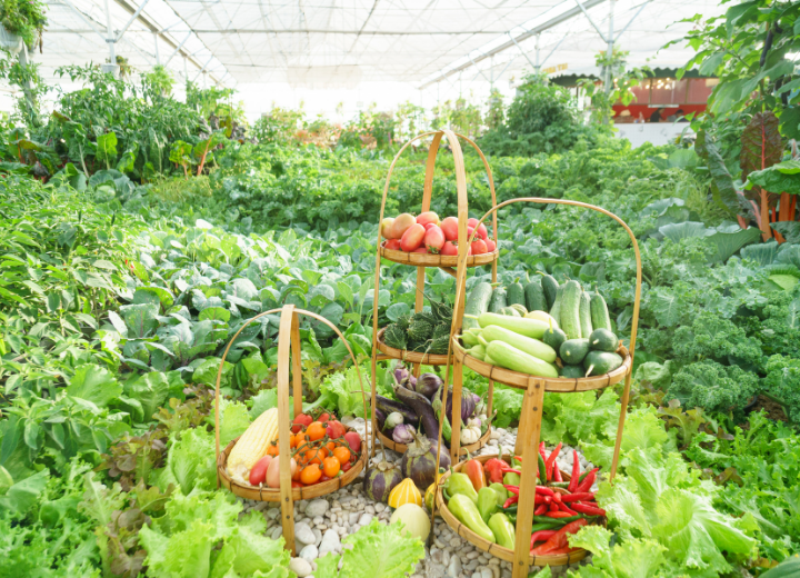 Agricultural workforce and labour management