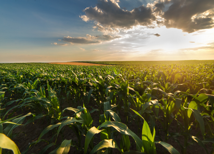 Agricultural farming and farm management
